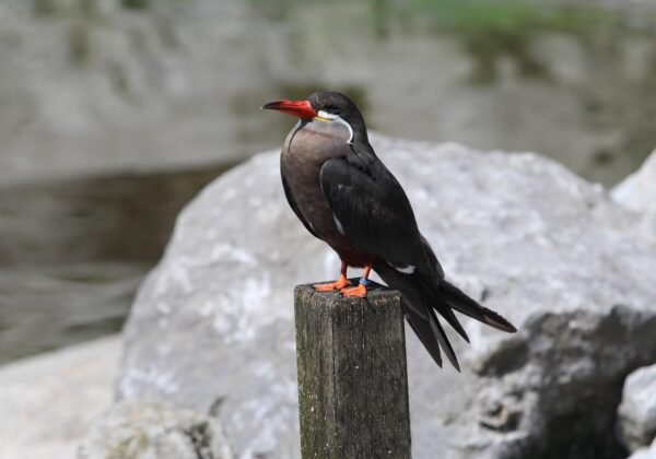 Beyond First Name: Hyper-Personalized Emails That Convert