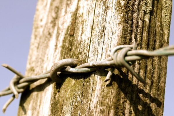 Email Automation: Unlock Hyper-Personalization At Scale