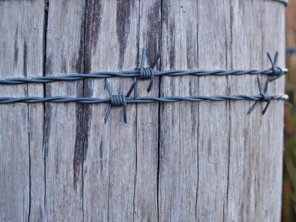 Email ROI: Psychology, Segmentation, And Irresistible Offers