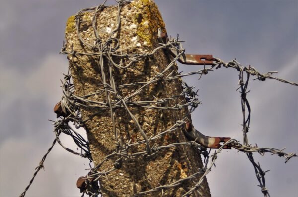 Email Alchemy: Converting Clicks To Loyal Customers