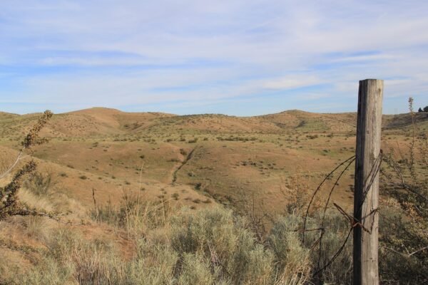 Email Subject Lines: The Art Of Inbox Seduction