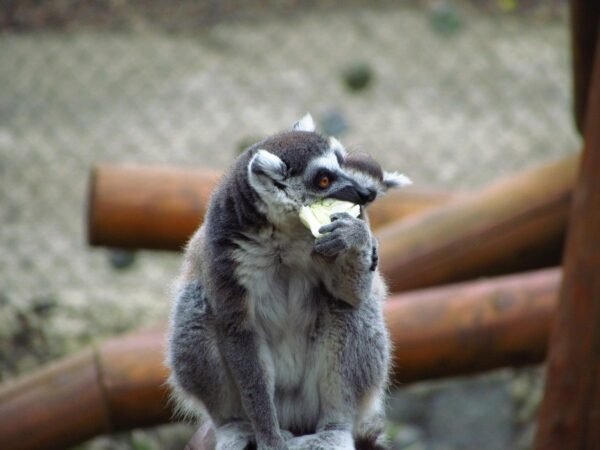 Email Promotion: Beyond The Inbox, Towards Engagement