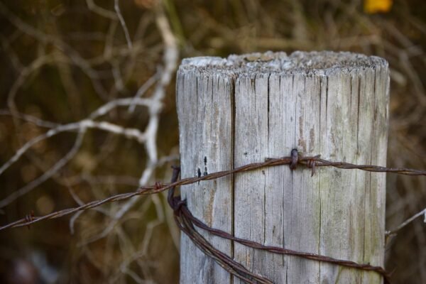 Beyond First Name: Hyper-Personalized Email ROI