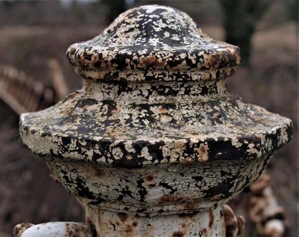 Beyond Buy Now: CTA Psychology & Conversion Harmony